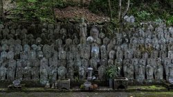 DSC01519