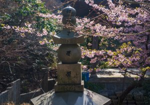 SBJ03204