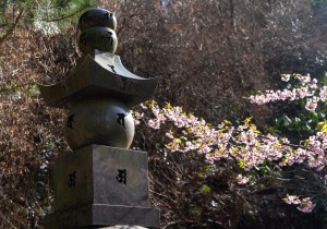 SBJ03205
