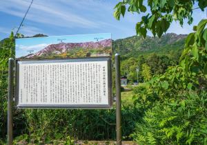 SBJ00420