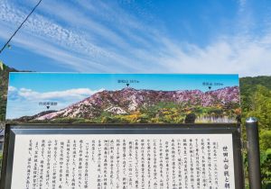 SBJ00437