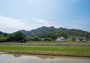 SBJ00611