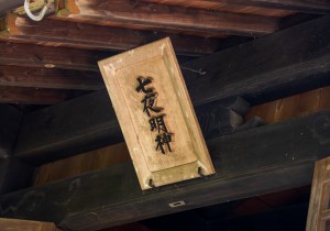 SBJ08194
