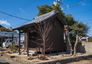 DSC00569