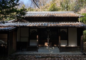 DSC07066