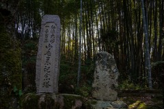 DSC07067
