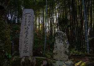 DSC07067