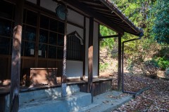 DSC07078