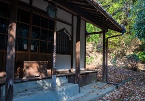DSC07078