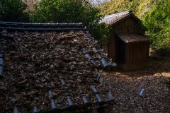 DSC07120