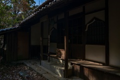 DSC07124
