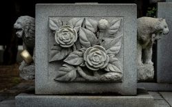 DSC00267