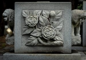 DSC00267