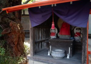 DSC08503