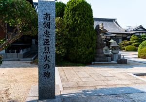 DSC08523