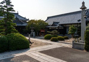 DSC08538
