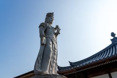 DSC08550