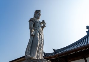 DSC08550