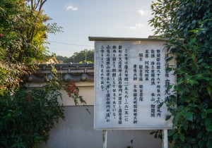 SBJ09895