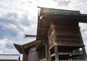 SBJ05617