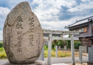 SBJ05625