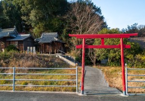 SBJ06566