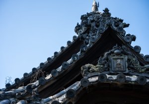 DSC08260