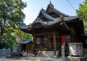DSC08264