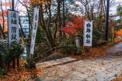 DSC01615