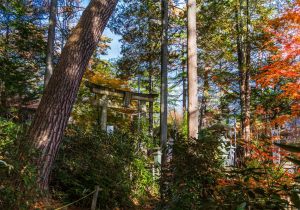 DSC01640