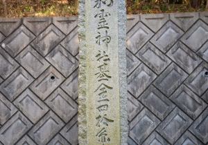 SBJ02623