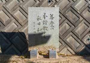 SBJ02629