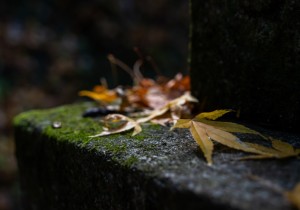 DSC06096