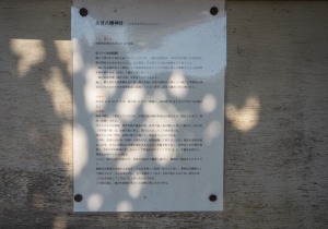 SBJ00393