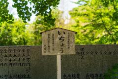 DSC04640
