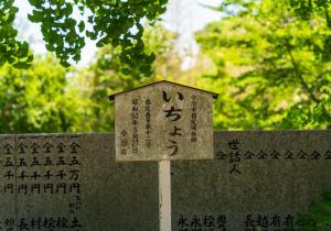 DSC04640