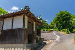 DSC04662