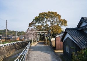 SBJ05731
