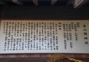SBJ09717