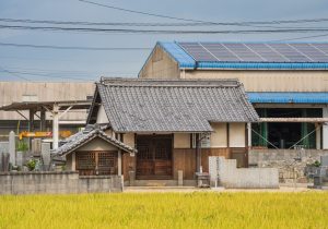 SBJ05662