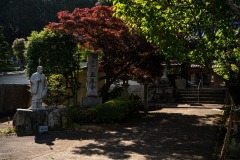 DSC03982