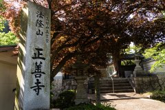 DSC04019