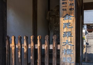DSC03487