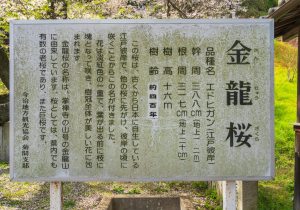 DSC03496