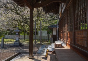 DSC03540