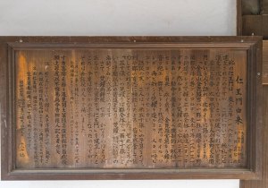 SBJ03758