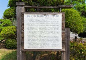 SBJ04872