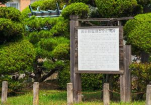 SBJ04890