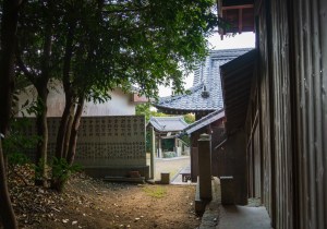 SBJ01789