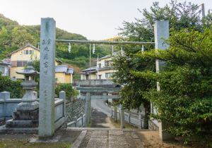 SBJ00716